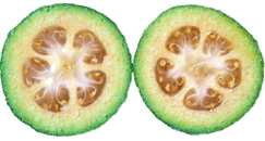 Slices Of Feijoa Fruit