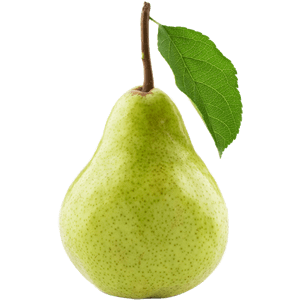 Pear Single