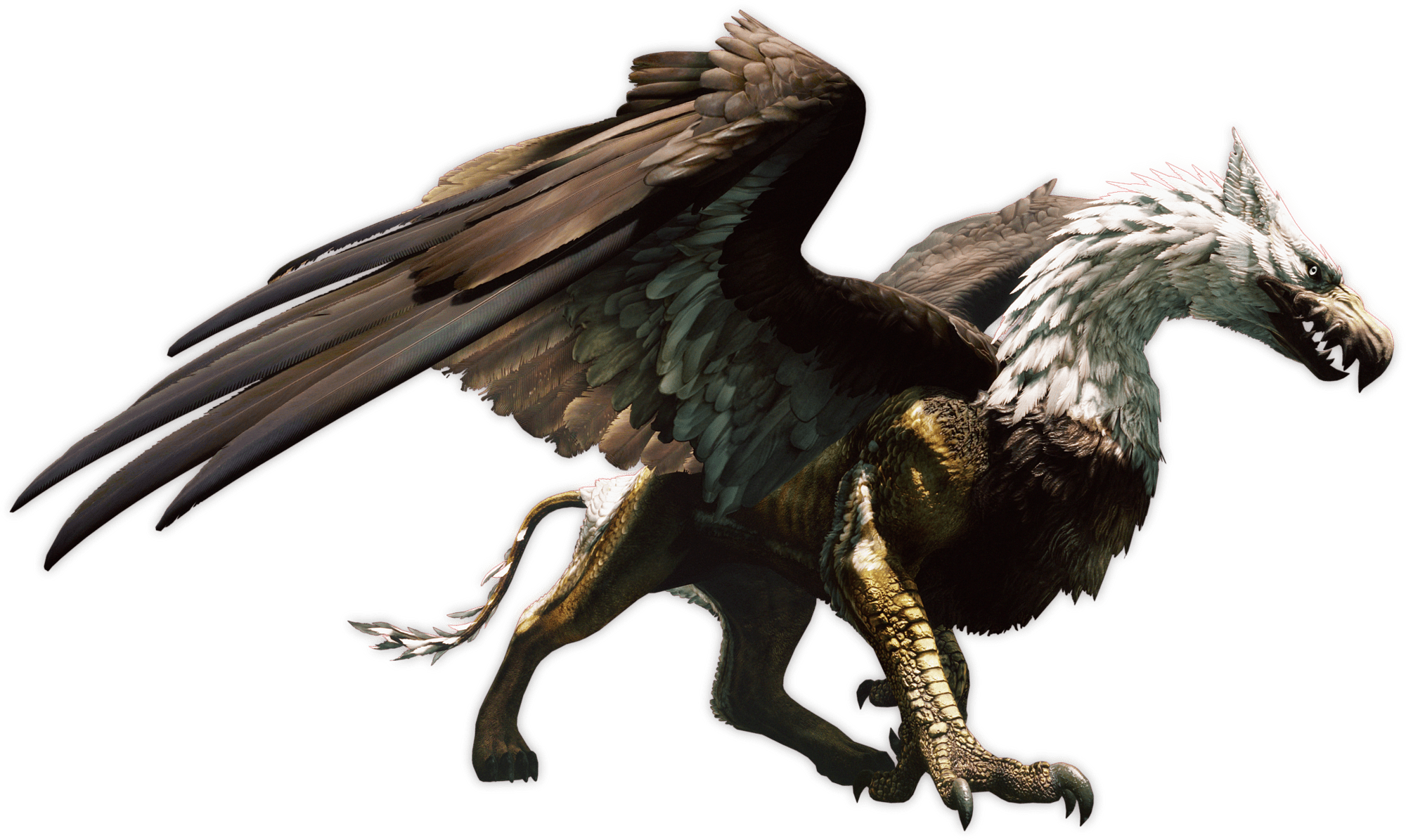 Griffin Dragon's Dogma
