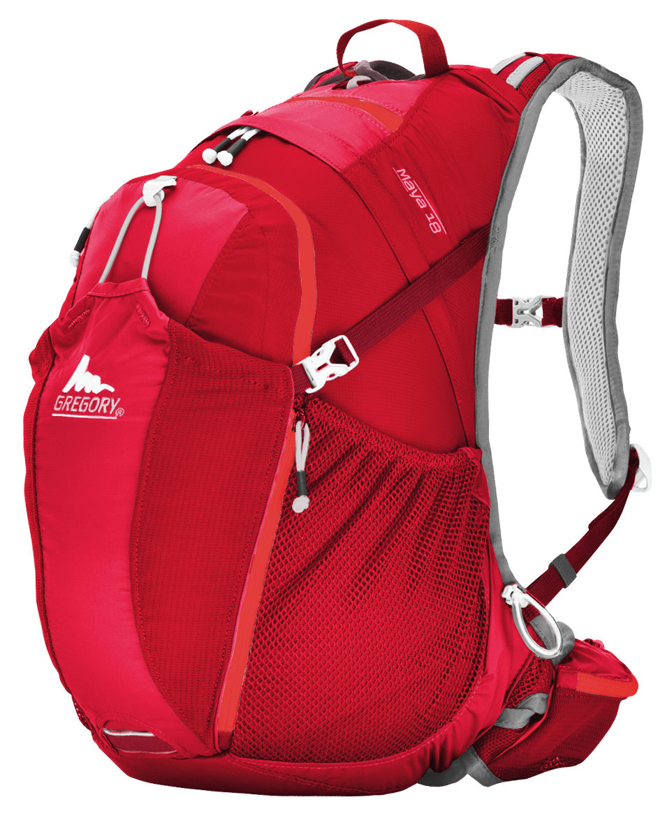 Gregory Red Backpack