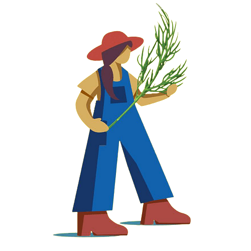 Field + Farmer image