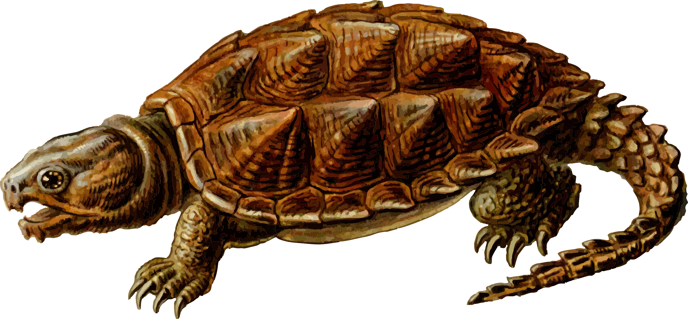 Prehistoric Turtle Clipart