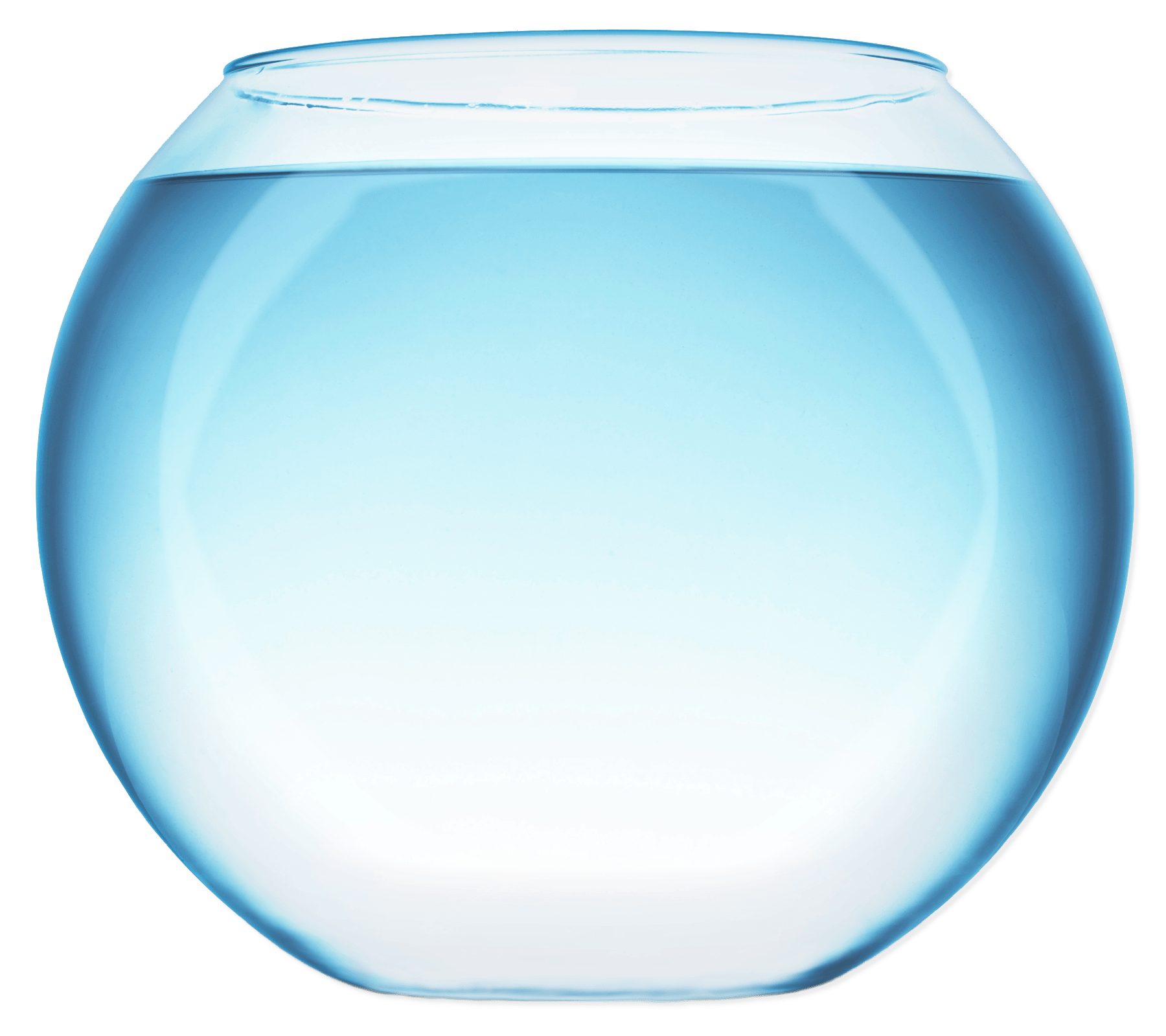 Fish Bowl With Water