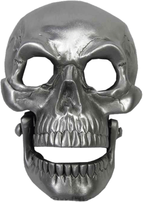 Chrome Skull Mask