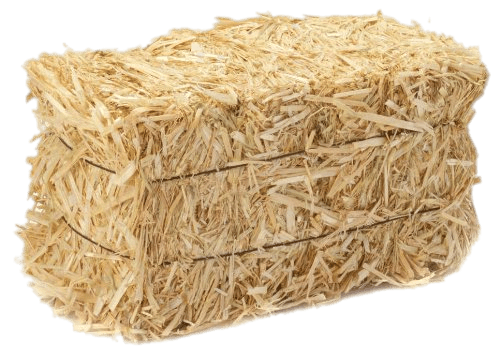 Barley Straw Bale