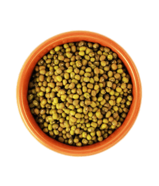 Bowl Of Mung Soybeans