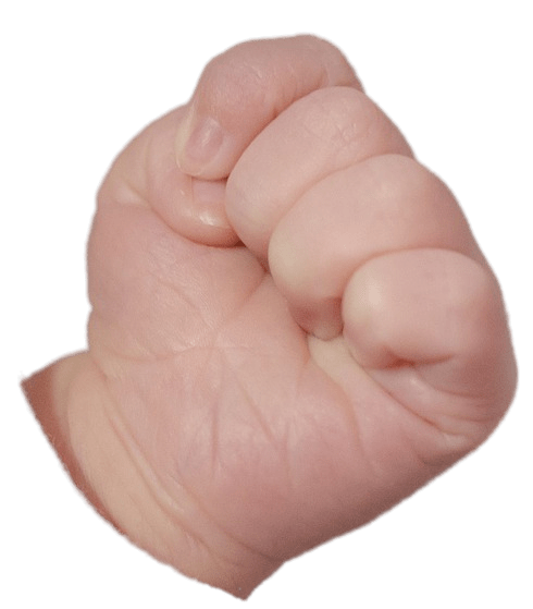 Clenched Baby Fist