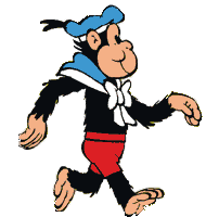 Choco the Chimpanzee Walking