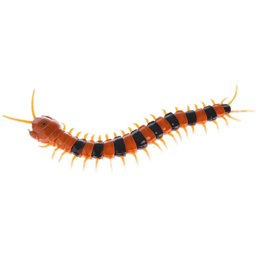 Plastic Centipede