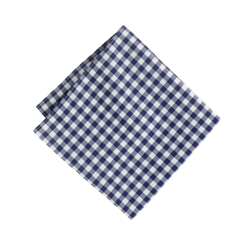 Handkerchief Blue and White Squares