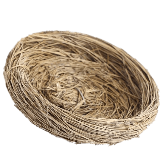 Natural Bird Nest