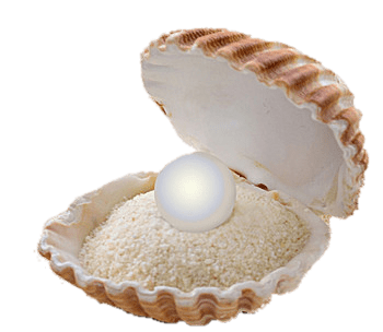 Pearl on A Sandbed In A Shell