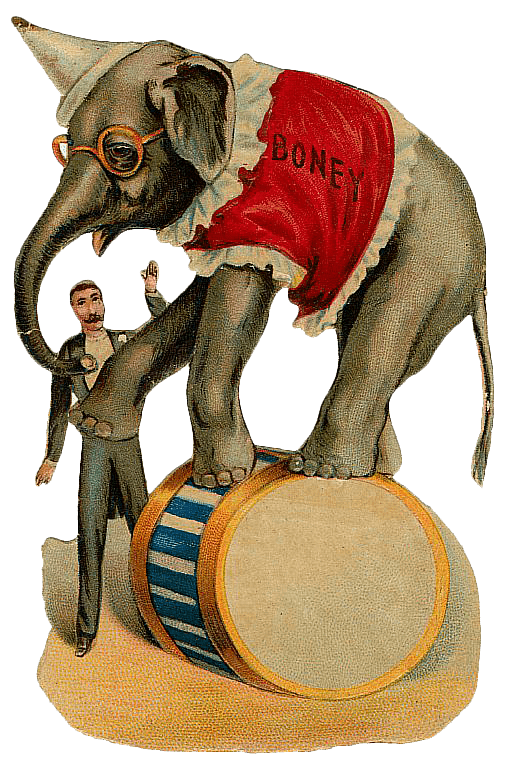 Vintage Elephant On Top Of Barrel Circus Illustration