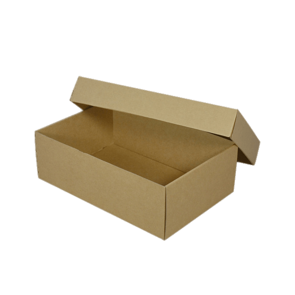 Empty Brown Shoebox