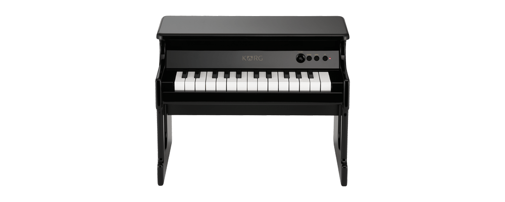 Tiny Korg Black Piano