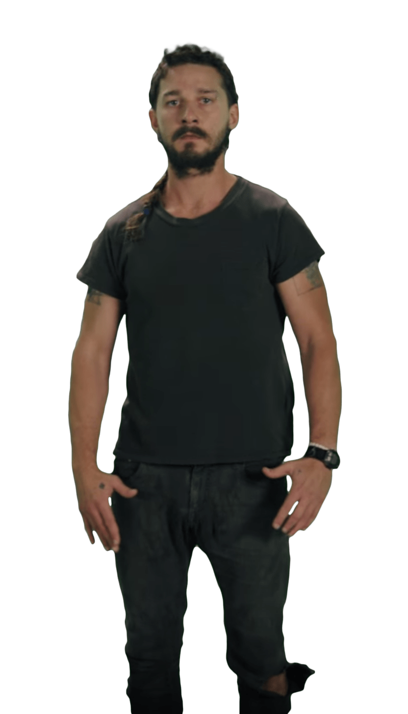 Shia LaBeouf Pose