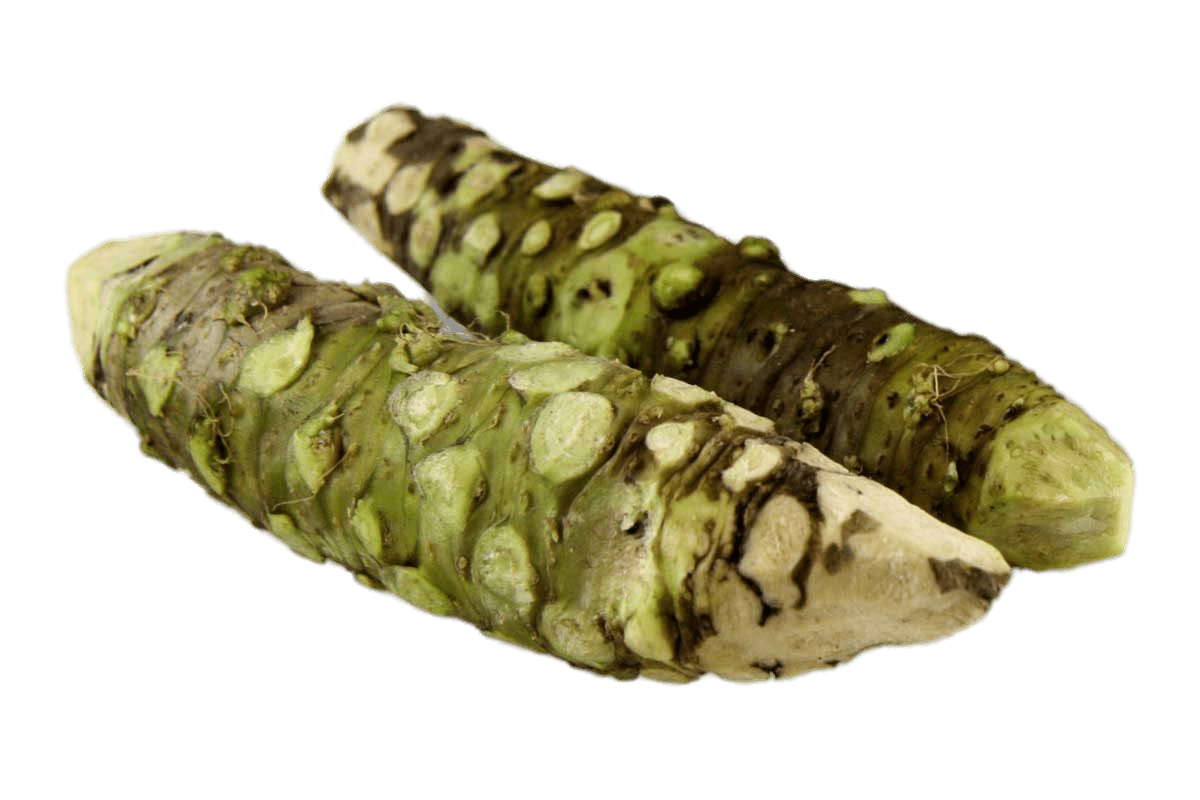 Fresh Wasabi Root Sticks
