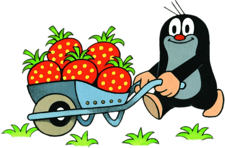 Little Mole Collecting Strawberries In A Wheelbarrow