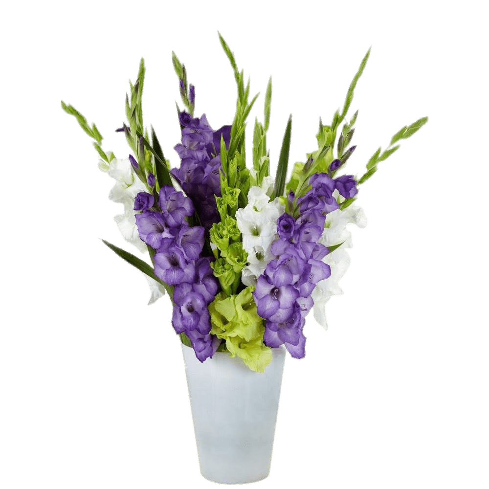 Gladiolus Composition In Vase