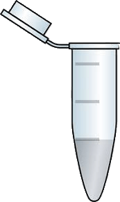 Plastic Vial With Attached Top