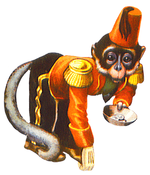 Circus Monkey