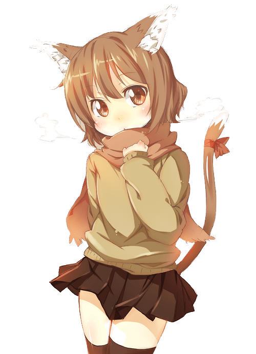 Cat Girl Brown Outfit
