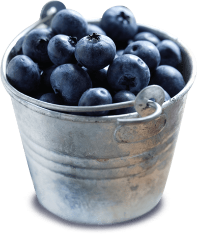 Bowl Of Blueberries