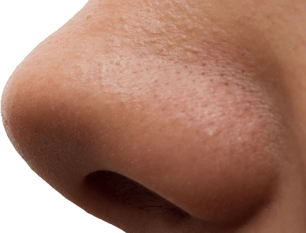 Large Man Nose