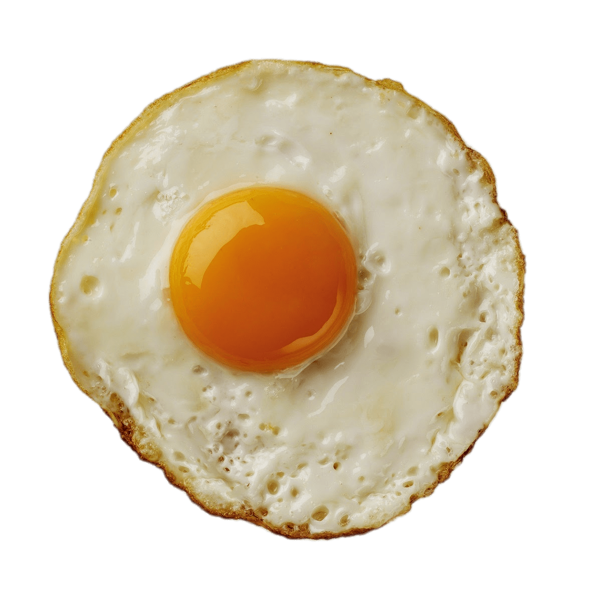 Fried Egg