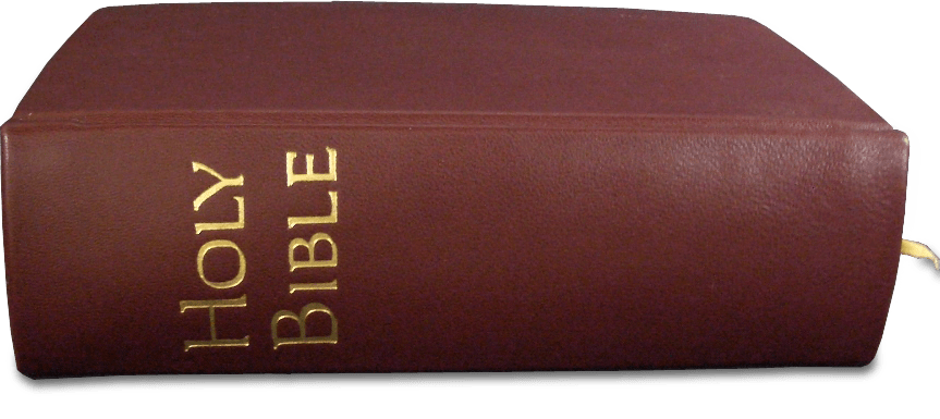 Holy Bible Side View