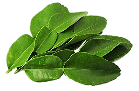 Kaffir Lime Leaves