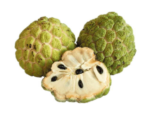Fresh Sugar Apple