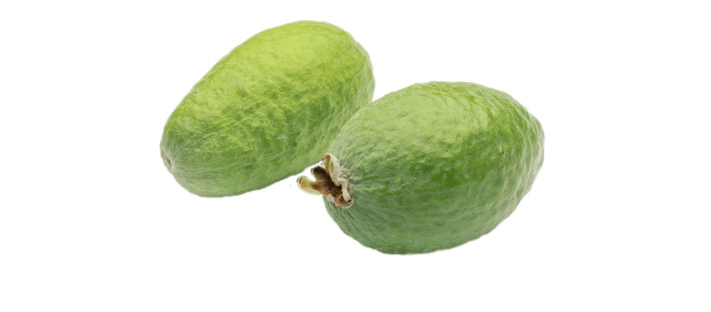 Whole Feijoa Fruit