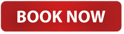 Red Rectangular Book Now Button