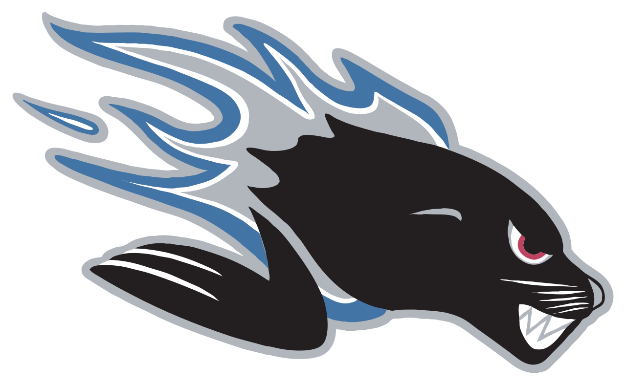 Saint John Sea Dogs 