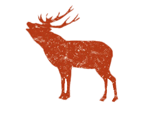 Elk Drawing
