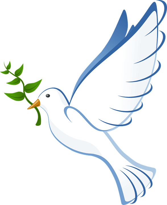 Peace Dove