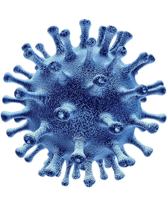 Flu Virus Cell