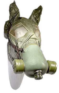 Horse Gas Mask