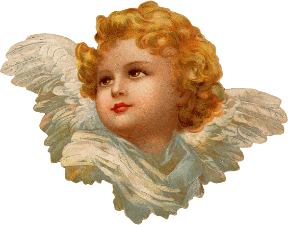 Angel Face Looking Left