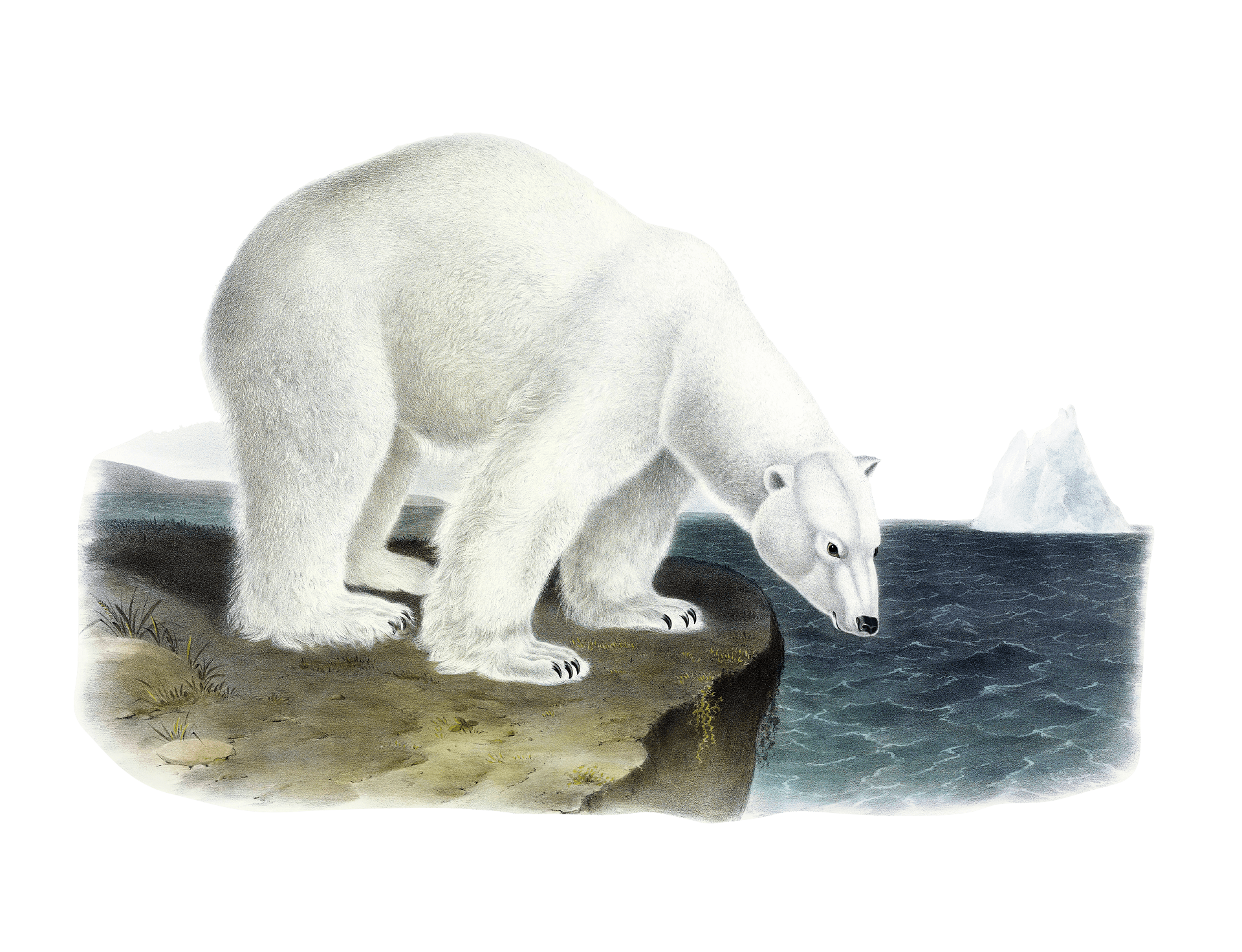 Retro Polar Bear Painting Iceberg