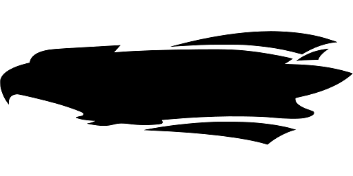 Abstract Eagle Head with Sharp Beak