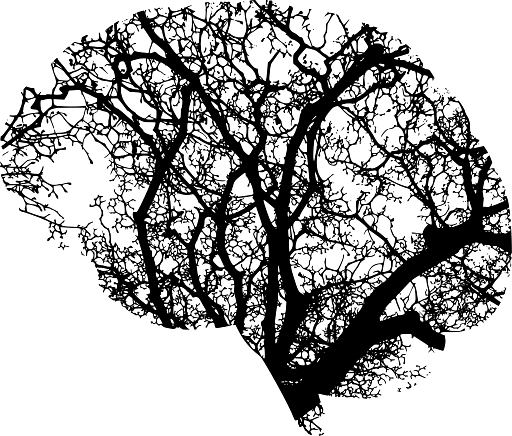 Abstract Representation of Human Brain Neural Structure