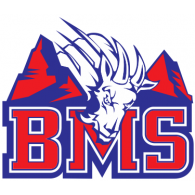 BMS