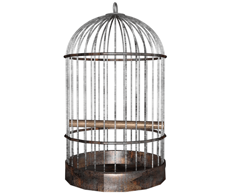Birdcage Vintage Photo