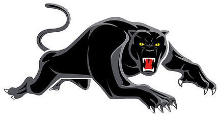Penrith Panthers 