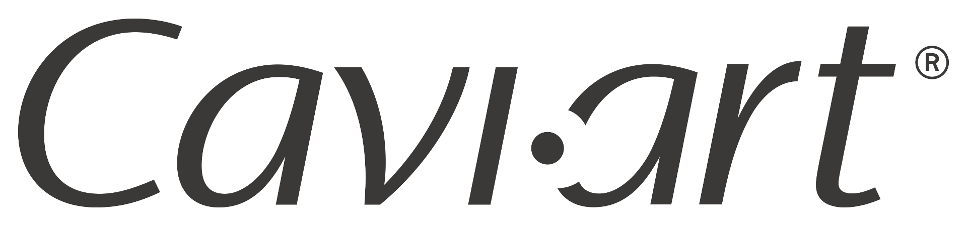 Cavi-art logo horizontal