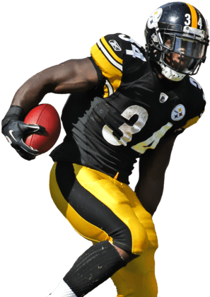 Pittsburgh Steelers Player