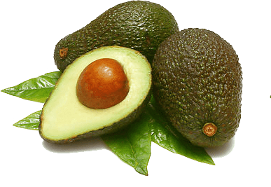 Avocado Sliced