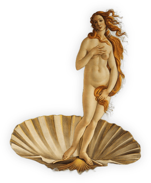 Birth Of Venus